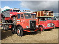 ST9310 : Classic trucks at the Great Dorset by Michael Trolove