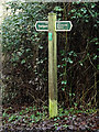 TM2648 : Footpath/byway sign off Broomheath by Geographer