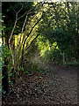 TM2648 : Footpath to Sandy Lane by Geographer