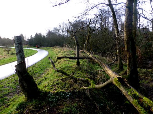 Raised bank along the Camowen River