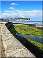 TA0487 : Sea Wall Views Across South Bay by Scott Robinson