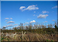 TL4000 : Farmland near Waltham Abbey, Essex by Christine Matthews