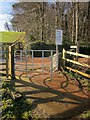 SX8855 : Kissing gate, Greenway Halt by Derek Harper