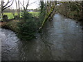 SX8386 : River junction, Christow station by Derek Harper