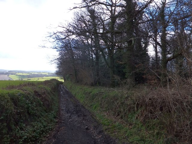 Haldon Lane with erosion