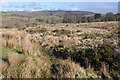 SO1472 : Rough upland grazing near Cantel by Philip Halling