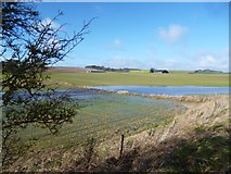  : The Aldbourne in the fields by Des Blenkinsopp