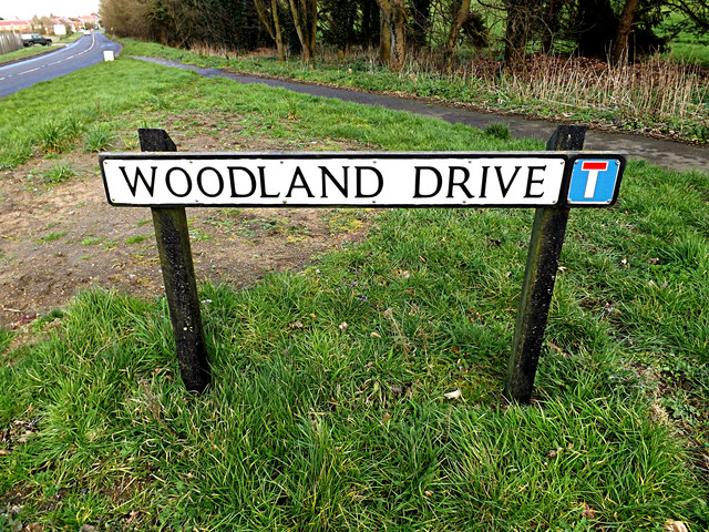 Woodland Drive sign