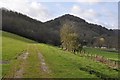 SO5816 : The old railway trackbed by Stuart Wilding