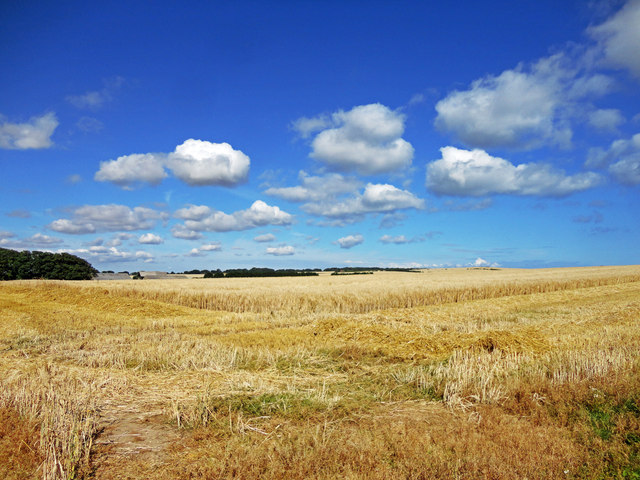 Farm land views