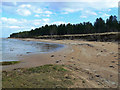 NH7982 : Dornoch Firth Shoreline by Mary and Angus Hogg