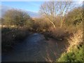 SK4934 : The River Erewash near Toton by David Lally