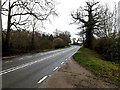 TG2504 : B1332 Bungay Road, Arminghall by Geographer