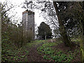 TG2504 : St Wandregesilius Church, Bixley by Geographer