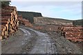 NT1944 : Stacked timber in Harehope Forest by Jim Barton