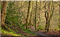 J3977 : Path, Redburn, Holywood - March 2014(1) by Albert Bridge