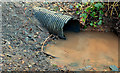 J3977 : Drain, Redburn, Holywood - March 2014(2) by Albert Bridge