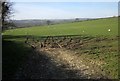  : Sheep pasture above Millhill by Derek Harper