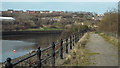 NZ3858 : Path on the river bank, Sunderland by Malc McDonald