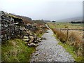  : Fallen wall along the Pennine bridleway by Christine Johnstone