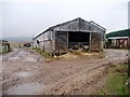 SD8093 : Sheep sheltered in a barn, Yore House by Christine Johnstone