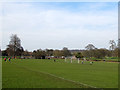 TL1306 : Football pitch on a Roman road by Stephen Craven