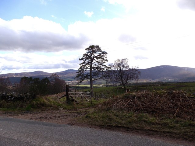 View SSE from road (B976) over Corsedardar Hill