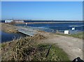 TF3500 : Spring flooding at March Farmers bridge - The Nene Washes by Richard Humphrey