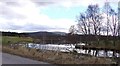 NO6492 : Pond at Mill of Strachan by Stanley Howe