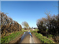 TM3689 : Rectory Lane & Angles Way footpaths by Geographer