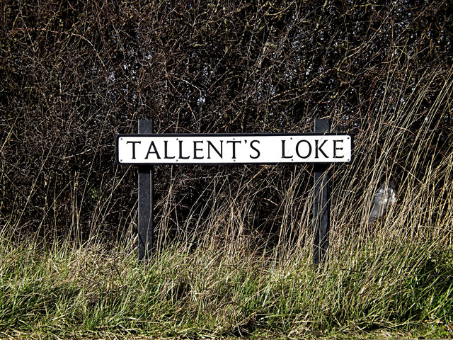 Tallent's Loke sign