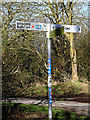 TM3693 : Roadsign on Bungay Road by Geographer