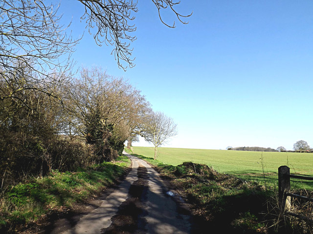 Litchmere Lane, Ellingham