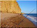 SY4690 : Fishing at East Cliff, West Bay by Nigel Mykura