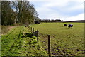 SU1225 : Horses in field south of Homington by David Martin