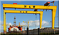 J3575 : The "Blackford Dolphin", Harland & Wolff, Belfast - March 2014 (2) by Albert Bridge