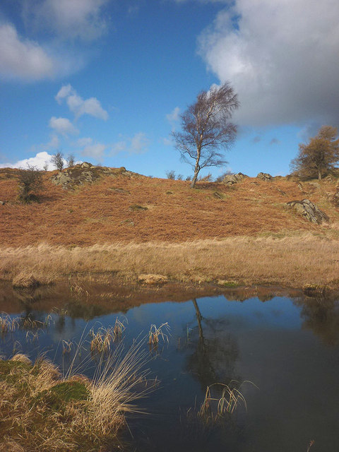 Small tarn on Cat Crag