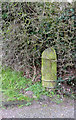 SK5141 : Boundary marker at Strelley by Alan Murray-Rust