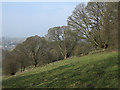 SK2276 : Field north of Eyam by Trevor Littlewood