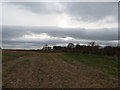 SE5974 : Stubble  field  Coney  Hills  toward  Tumuli by Martin Dawes