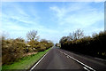 TL2764 : A1198 Ermine Street, Papworth St.Agnes by Geographer