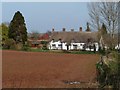 SX9795 : West Clyst Farmhouse by Christine Johnstone