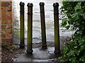 NZ2465 : A group of bollards by David Clark