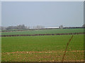 TL2669 : Looking towards Bear Croft Farm by Geographer