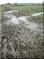 SP1971 : Muddy path between paddocks, Heart of England Way northeast of Kingswood by Robin Stott