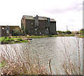 TG3129 : Ebridge Mill seen across the restored mill pond by Evelyn Simak