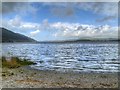 NY2227 : Bassenthwaite Lake by David Dixon