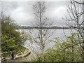 NY2030 : Peel Wyke Slipway, Bassenthwaite Lake by David Dixon