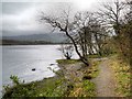 NY2032 : Bassenthwaite Shore near Ouse Bridge by David Dixon