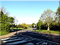 SU9850 : Campus Road on Stag Hill Campus at The University of Surrey by Geographer